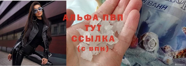 индика Ростов