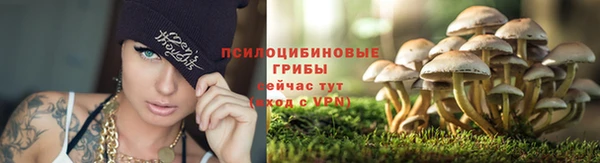 Альфа ПВП Рославль