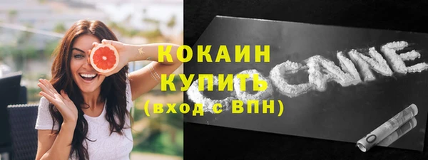 индика Ростов