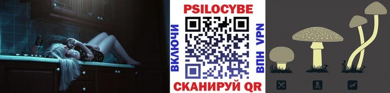 где продают Томмот Галлюциногенные грибы прущие грибы